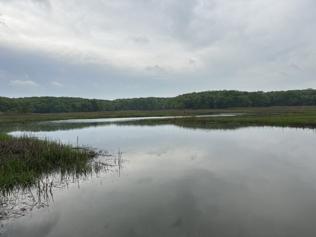 a body of water with trees in the background (MyCoast AI)