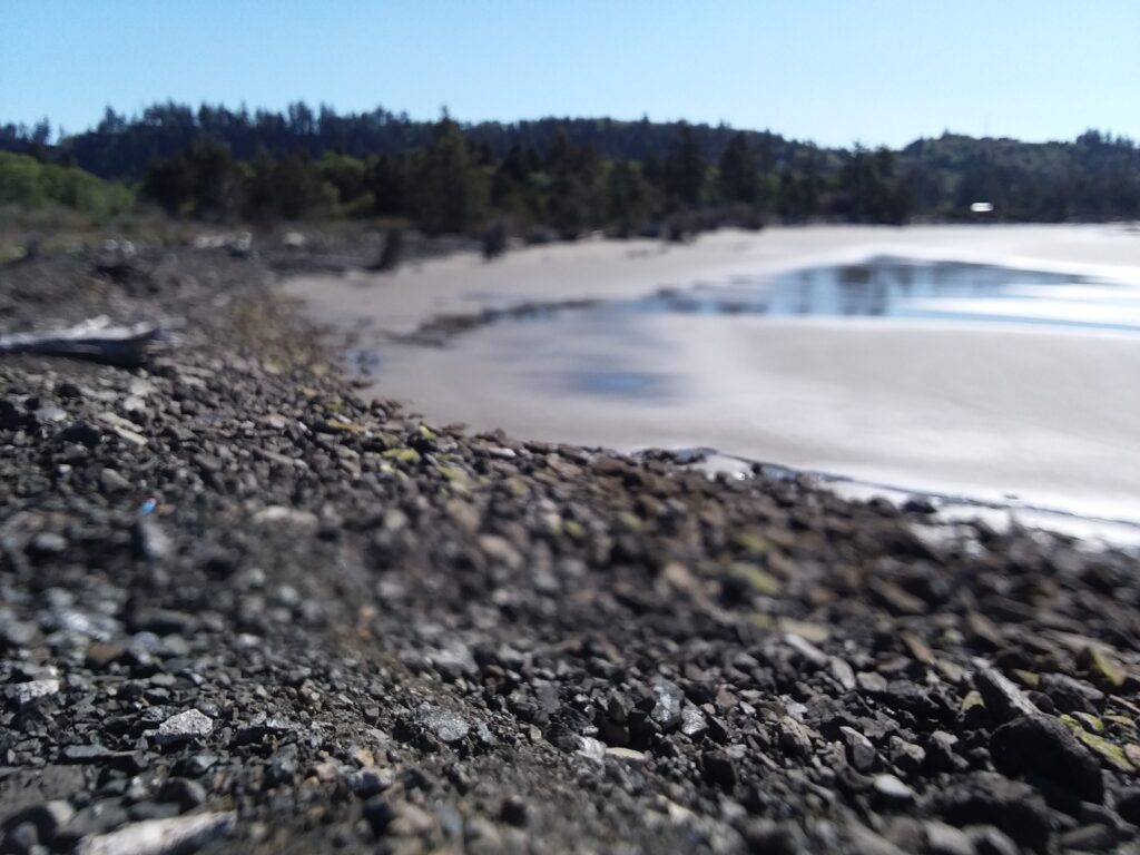 a rocky beach with trees in the background (MyCoast AI)