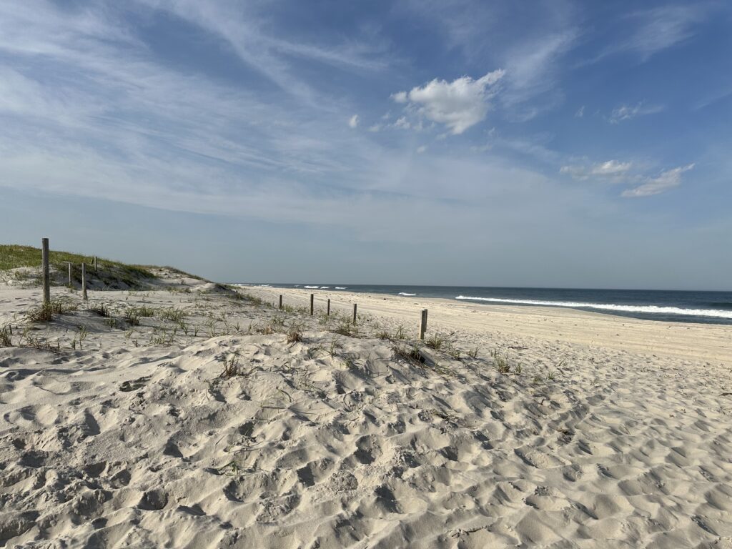 a sandy beach with a fence (MyCoast AI)