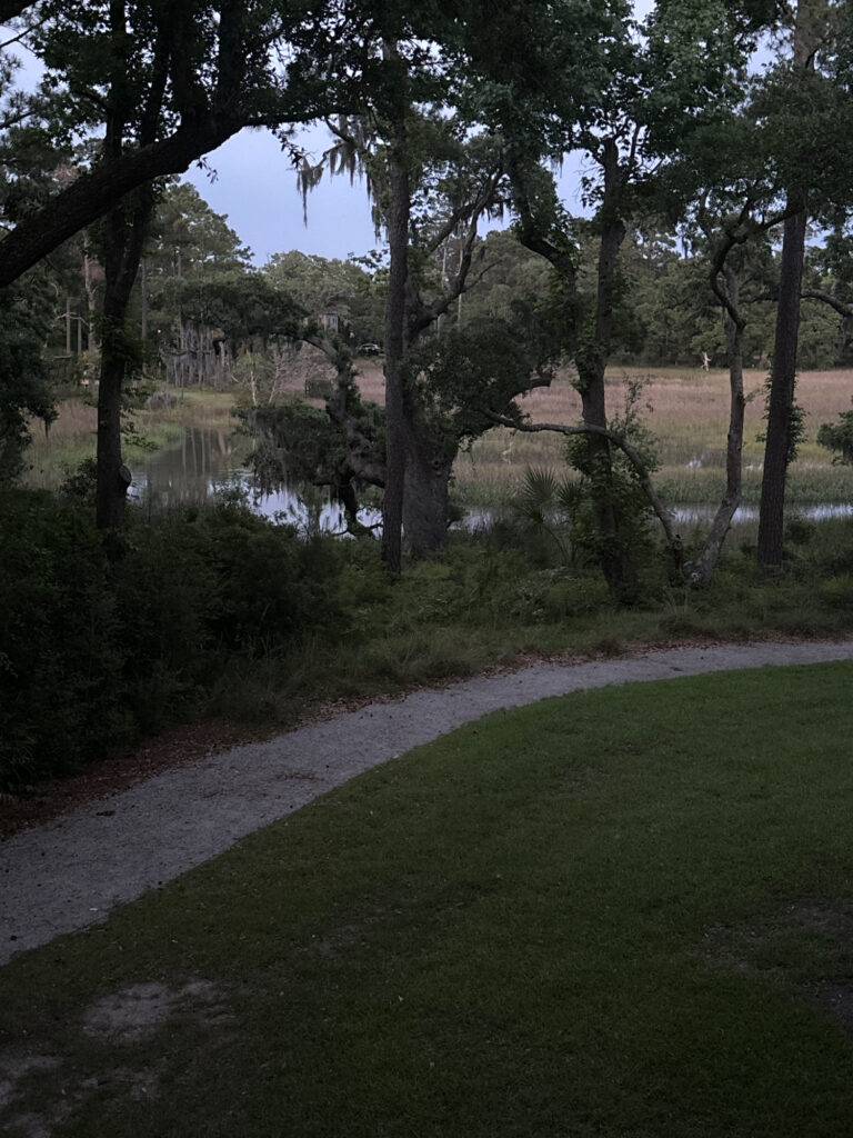 a path by a lake (MyCoast AI)