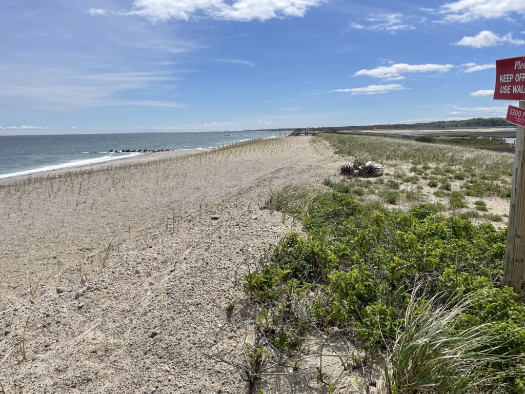 a sandy beach with bushes and a sign (MyCoast AI)