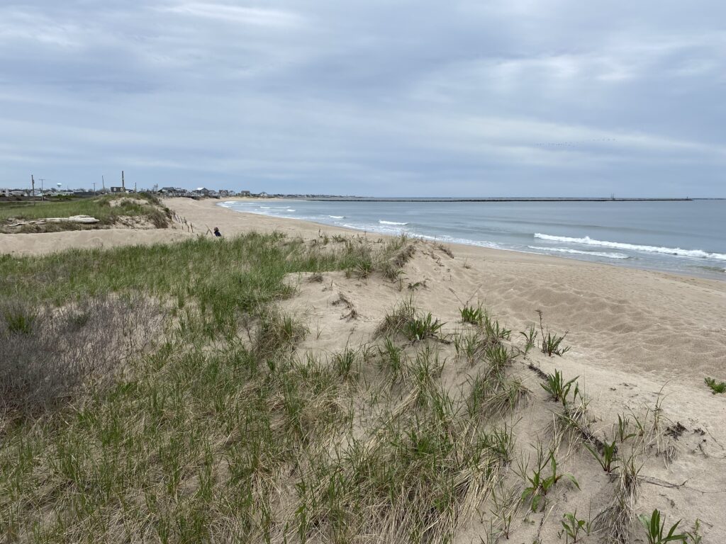 a beach with grass and sand (MyCoast AI)