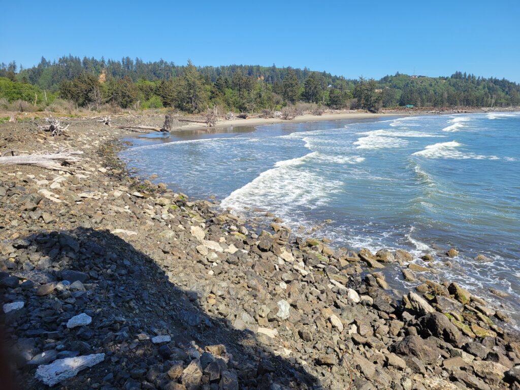 a rocky beach with a body of water and trees in the background (MyCoast AI)