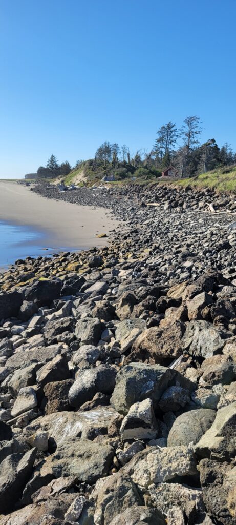 a rocky beach with trees in the background (MyCoast AI)