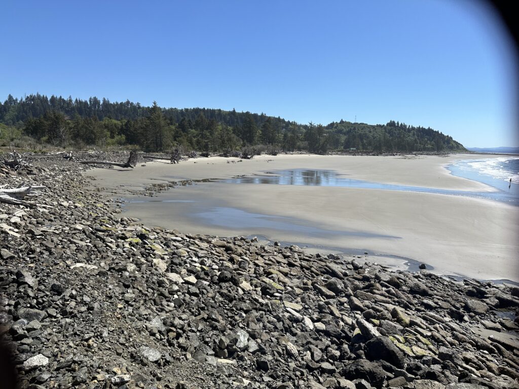 a rocky beach with trees in the background (MyCoast AI)
