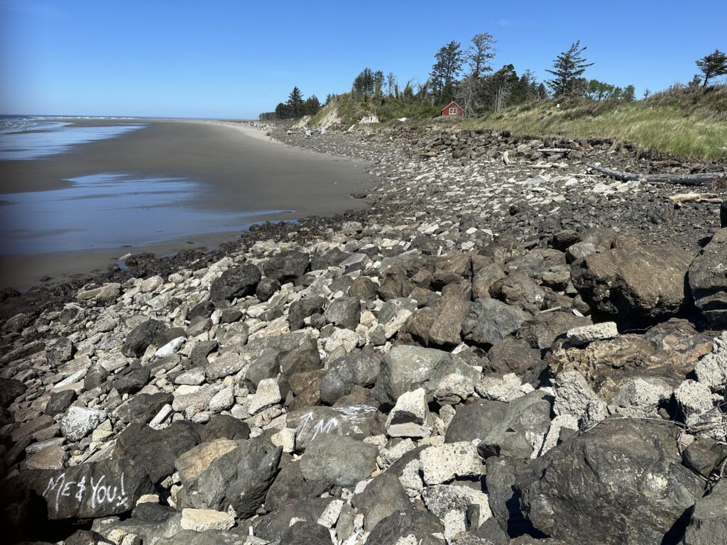a rocky beach with trees and water (MyCoast AI)