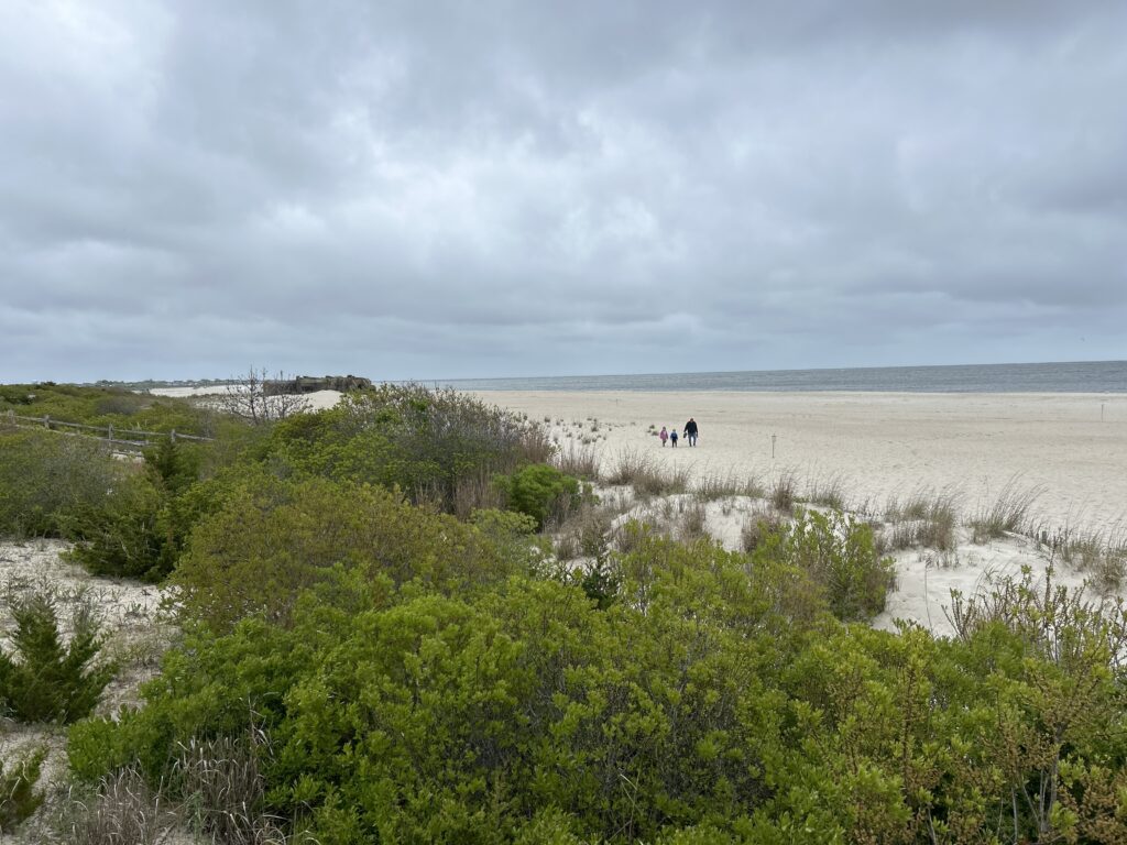 a group of people walking on a beach (MyCoast AI)
