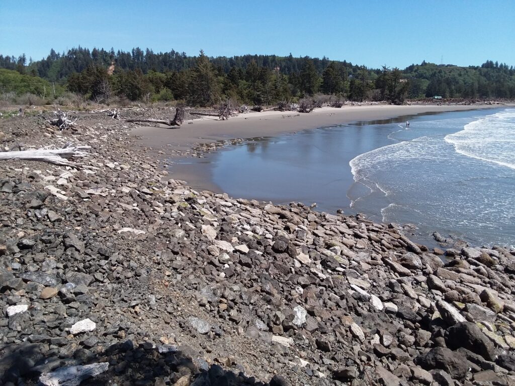 a rocky beach with trees in the background (MyCoast AI)