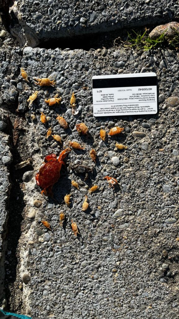 a sign on the ground (MyCoast AI)
