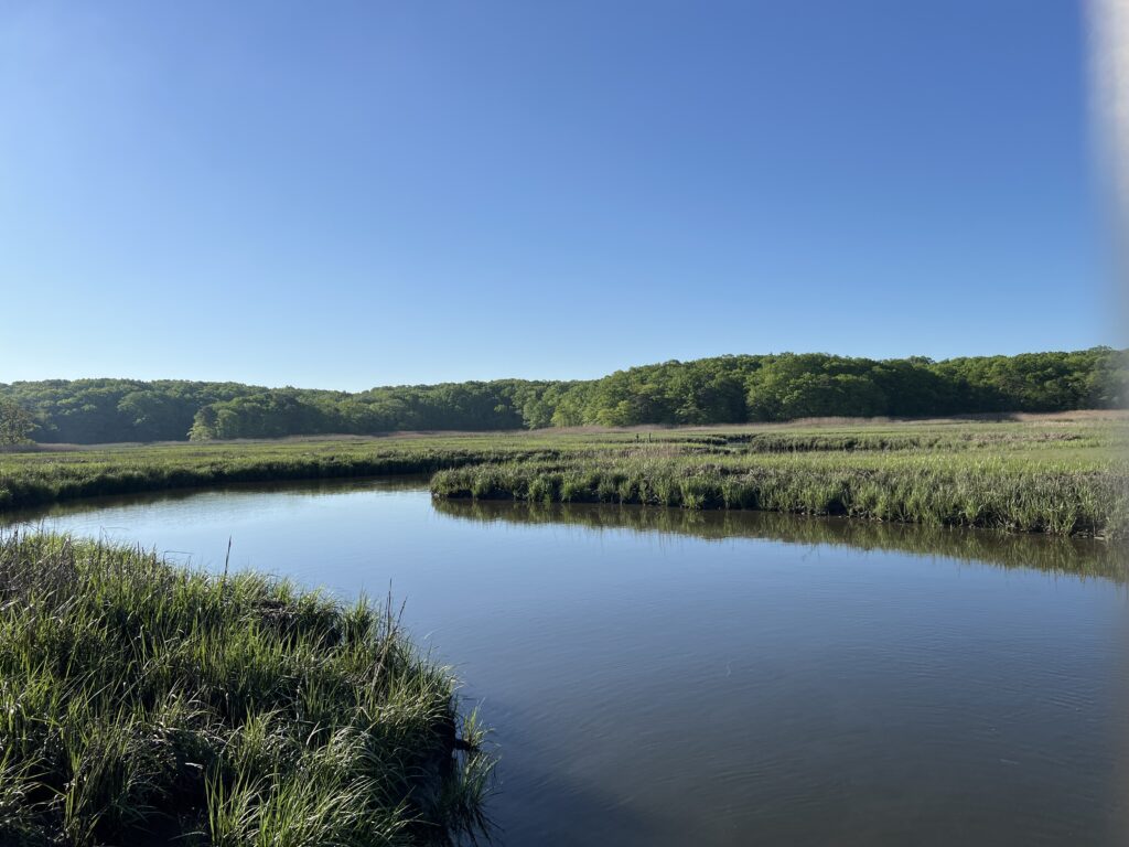 a body of water with grass and trees around it (MyCoast AI)