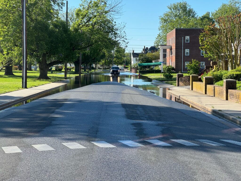 a road with a car on it (MyCoast AI)