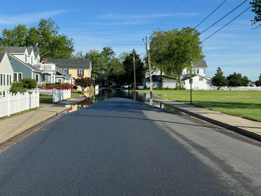 a street with houses along it (MyCoast AI)