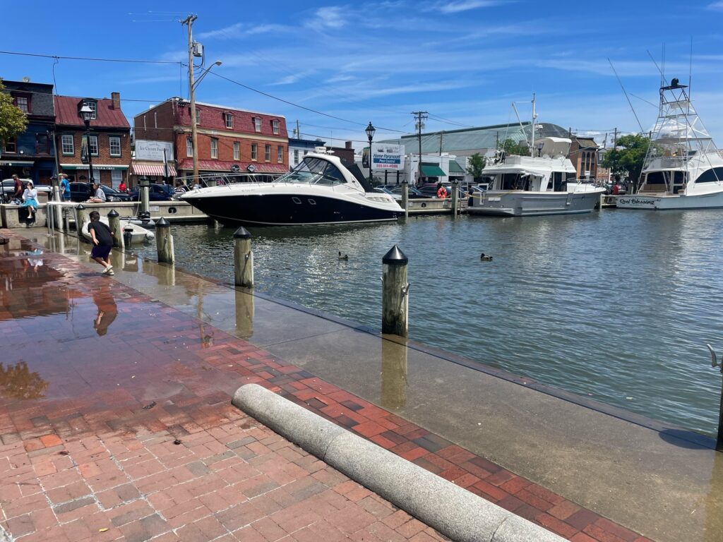 boats in the water (MyCoast AI)