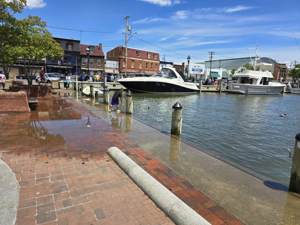 boats in the water (MyCoast AI)