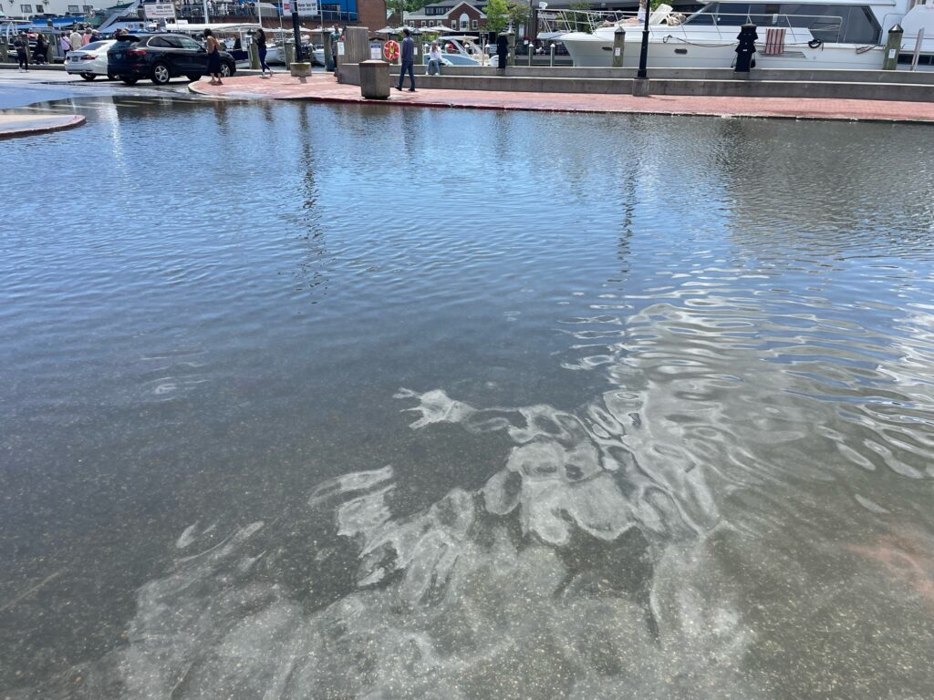 a body of water with people and cars in the background (MyCoast AI)