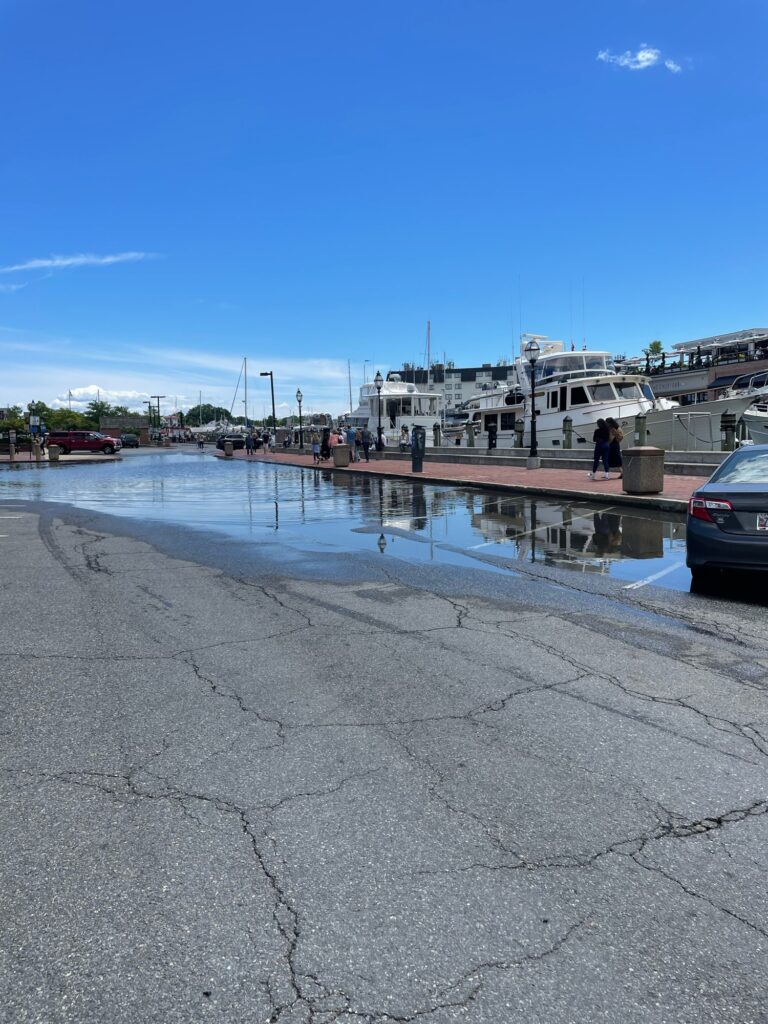 a body of water with a dock and buildings along it (MyCoast AI)
