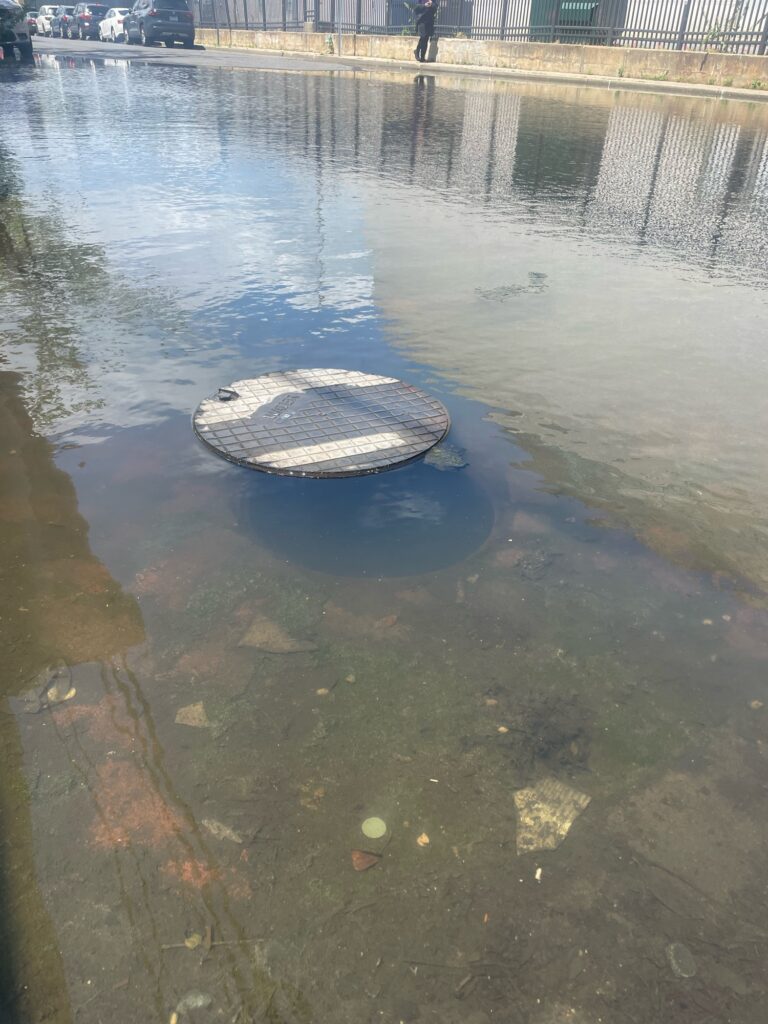 a boat on the water (MyCoast AI)