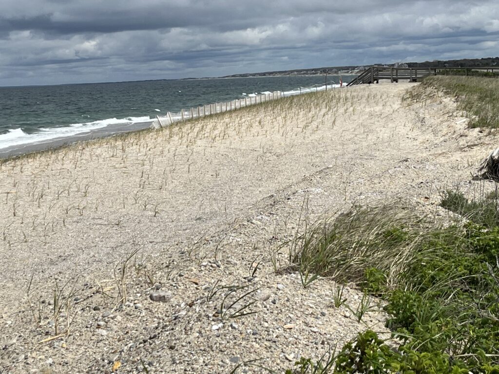 a beach with sand and water (MyCoast AI)