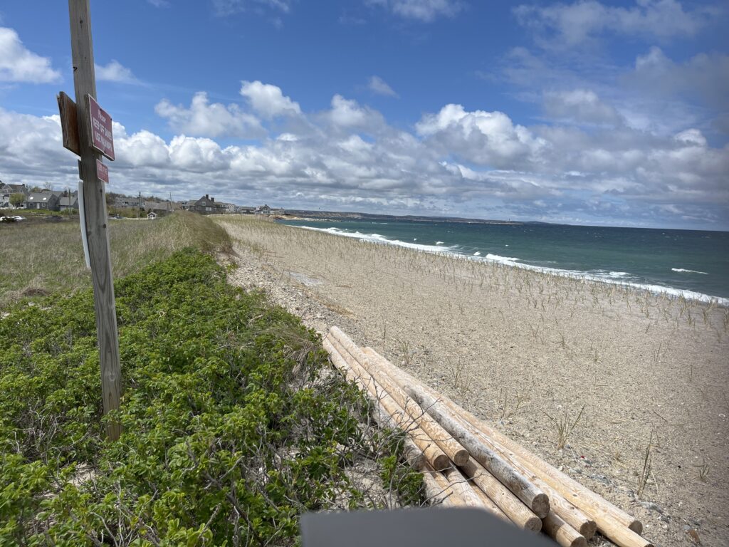 a wooden walkway to a beach (MyCoast AI)