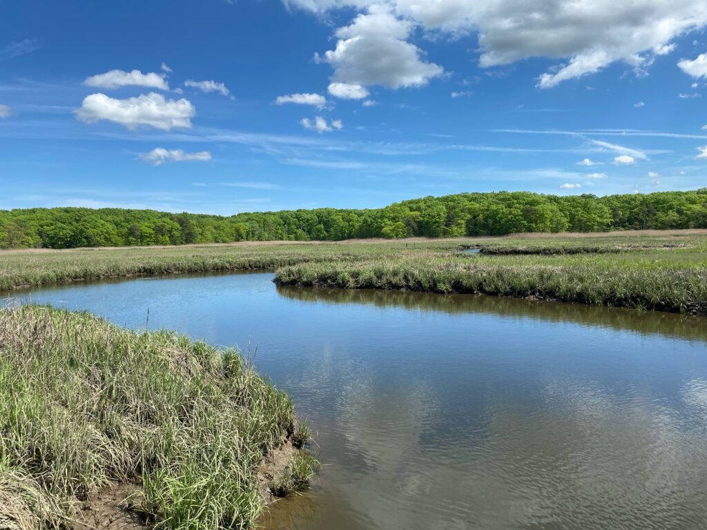 a body of water with grass and trees around it (MyCoast AI)