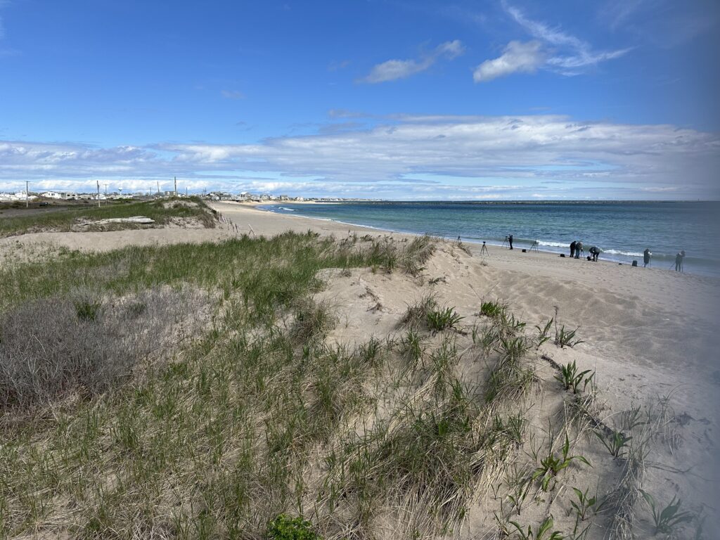 a beach with people walking on it (MyCoast AI)