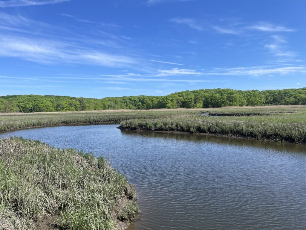 a body of water with grass and trees around it (MyCoast AI)