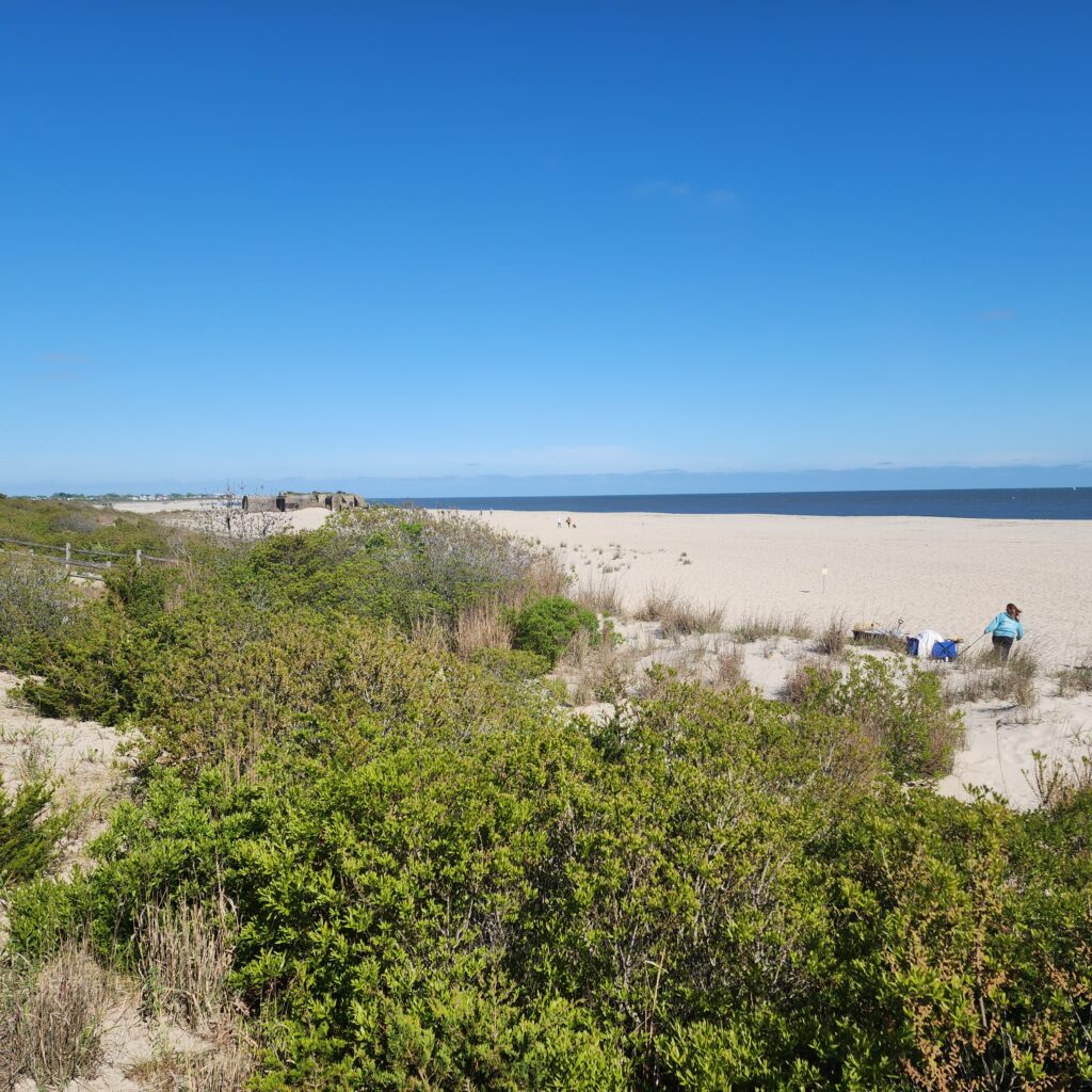 a person standing on a beach (MyCoast AI)