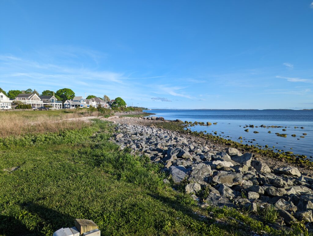 a rocky beach with houses and trees (MyCoast AI)