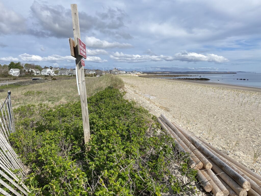 a wooden post on a beach (MyCoast AI)
