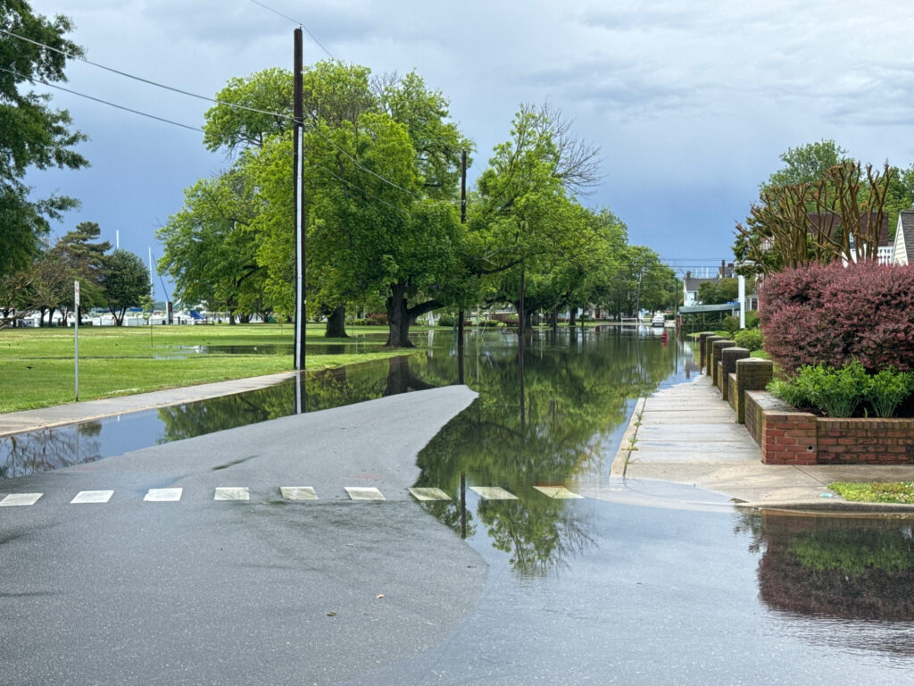 a flooded street with trees and grass (MyCoast AI)