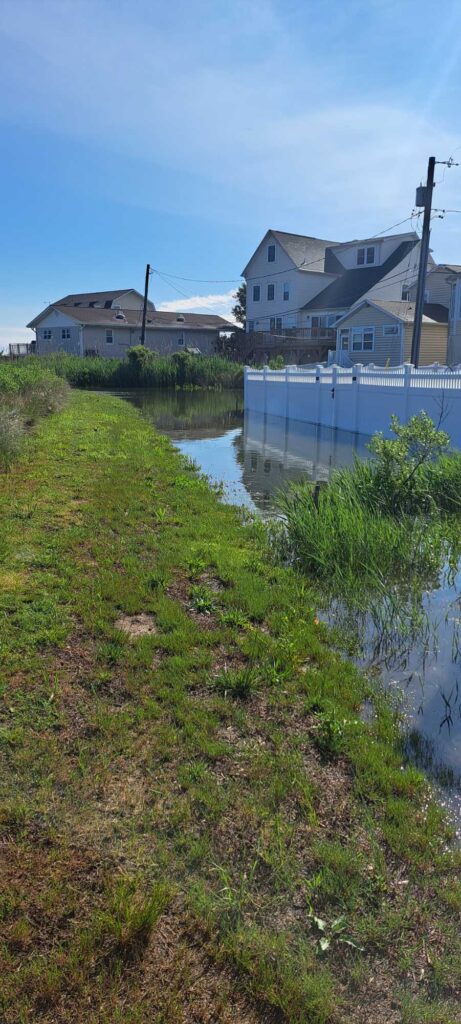 a body of water with grass and buildings around it (MyCoast AI)
