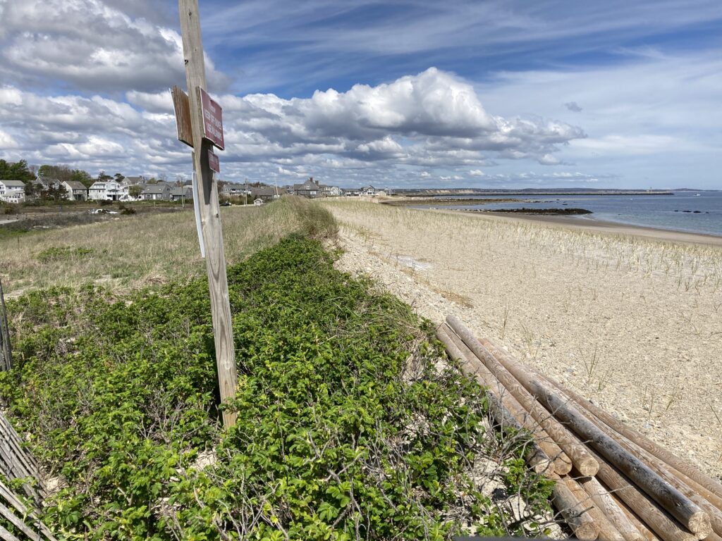 a train track next to a beach (MyCoast AI)