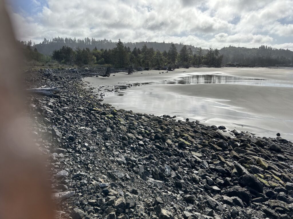 a rocky beach with trees in the background (MyCoast AI)