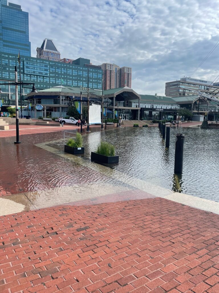 a brick walkway with a brick walkway and buildings in the background (MyCoast AI)