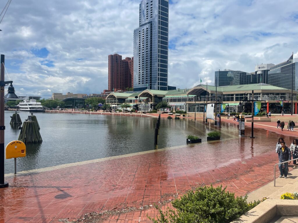 a body of water with buildings around it (MyCoast AI)