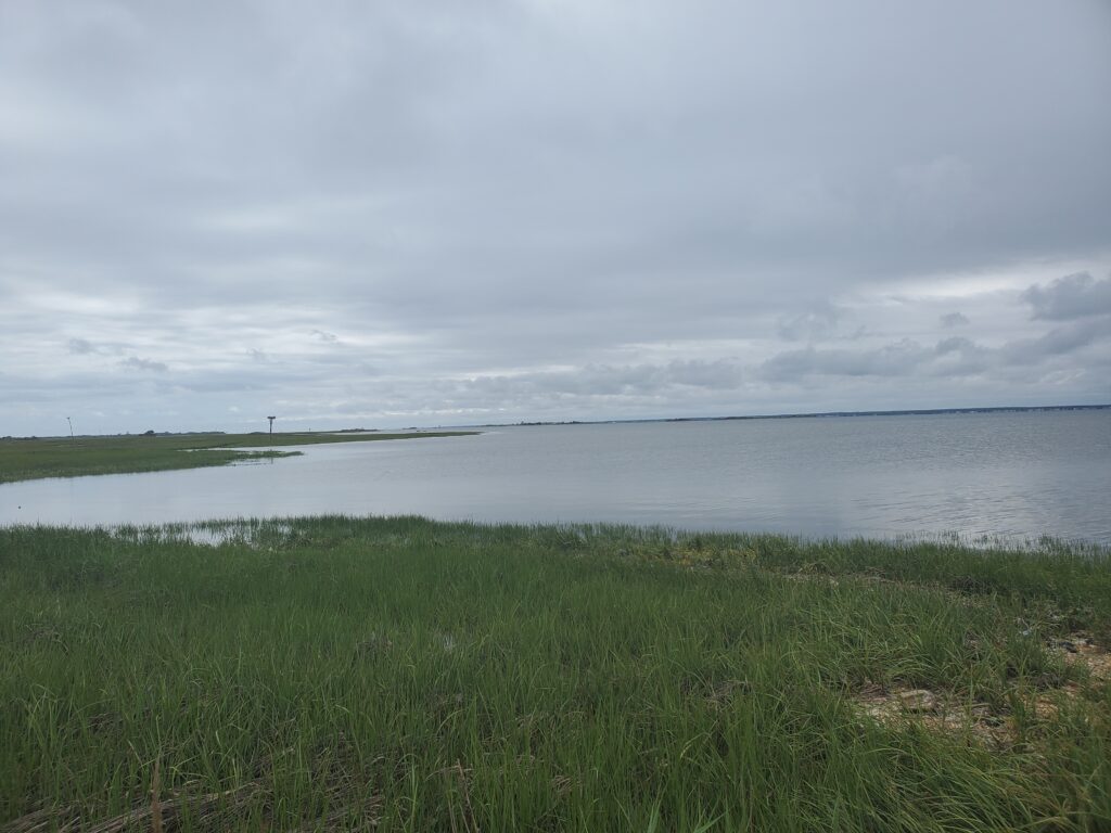 a body of water with grass and a land with a person in it (MyCoast AI)