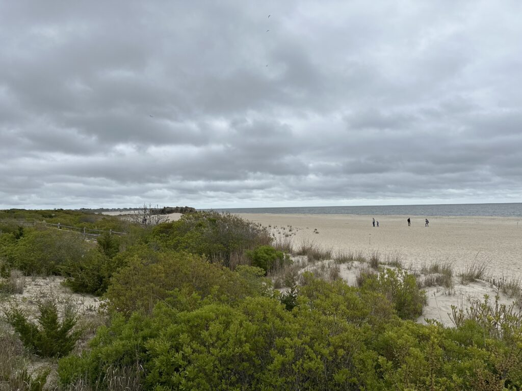 a group of people walking on a beach (MyCoast AI)