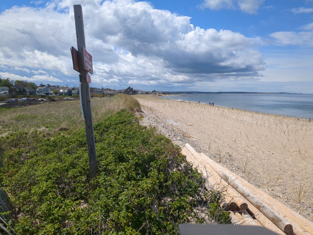 a path next to a beach (MyCoast AI)