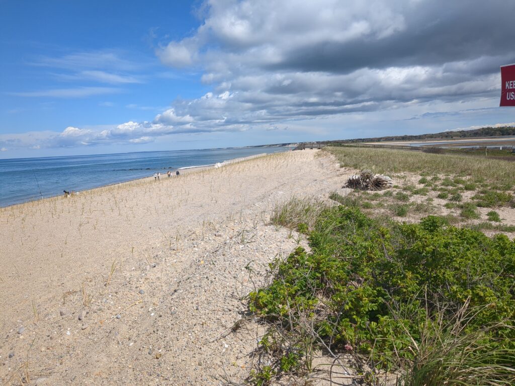 a beach with a body of water in the background (MyCoast AI)