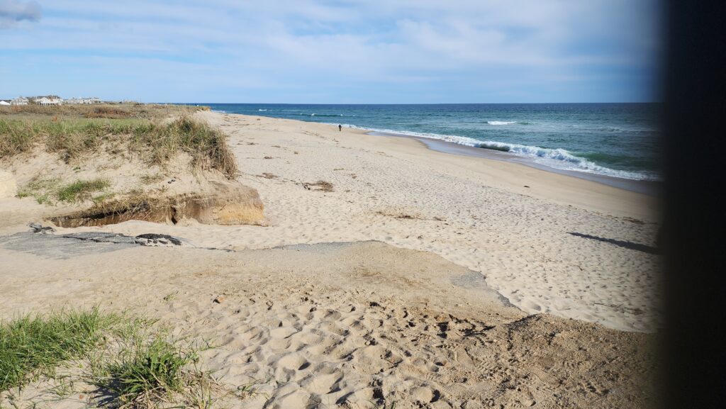 a sandy beach with water and grass (MyCoast AI)