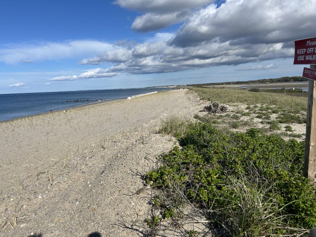 a beach with a sign (MyCoast AI)