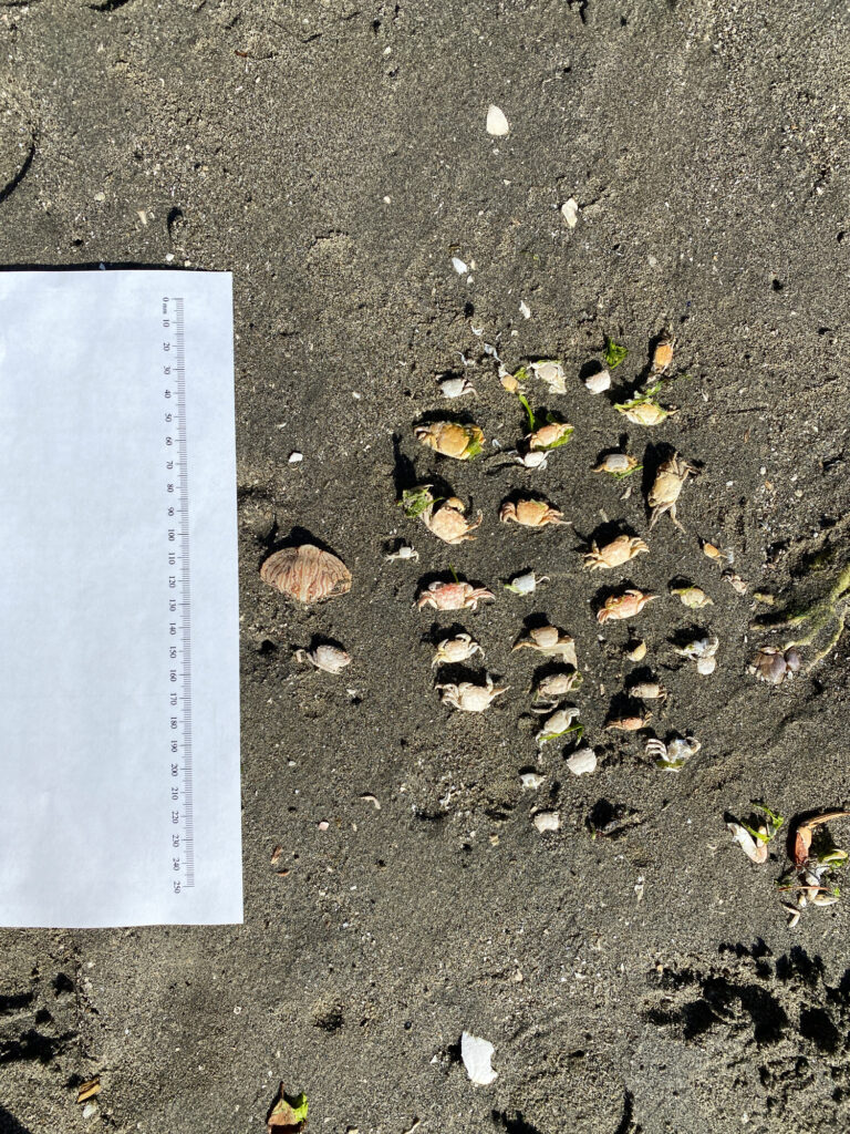 a tablet on the ground (MyCoast AI)
