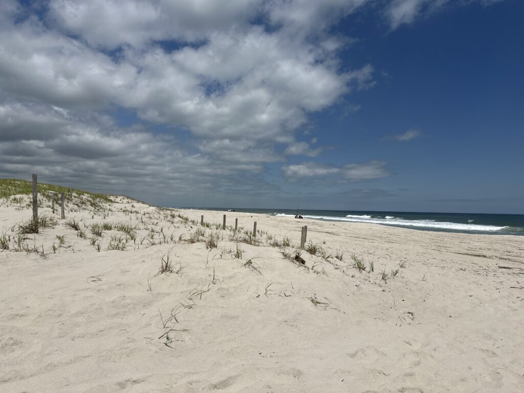 a sandy beach with a fence and plants on it (MyCoast AI)