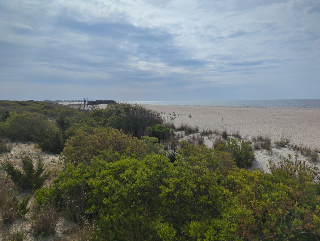 a landscape with trees and bushes (MyCoast AI)