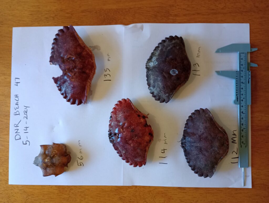 a plate of food (MyCoast AI)