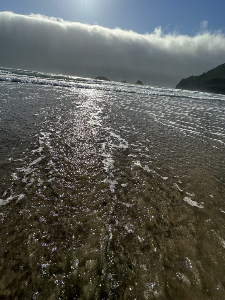 a large body of water (MyCoast AI)