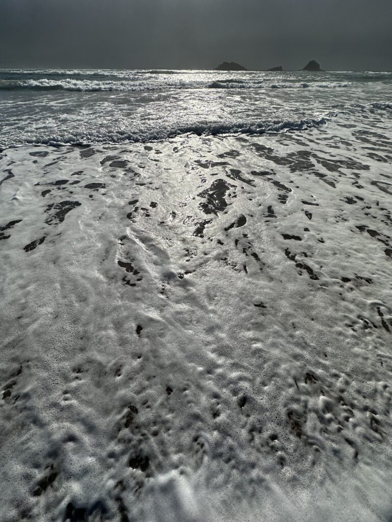 a beach with waves (MyCoast AI)