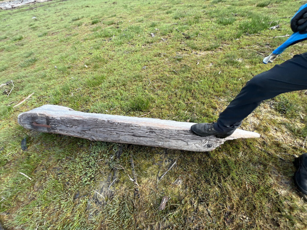 a person's foot on a log in the grass (MyCoast AI)