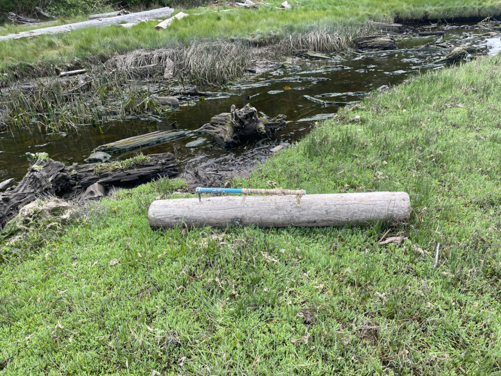 a stream with a log in it (MyCoast AI)