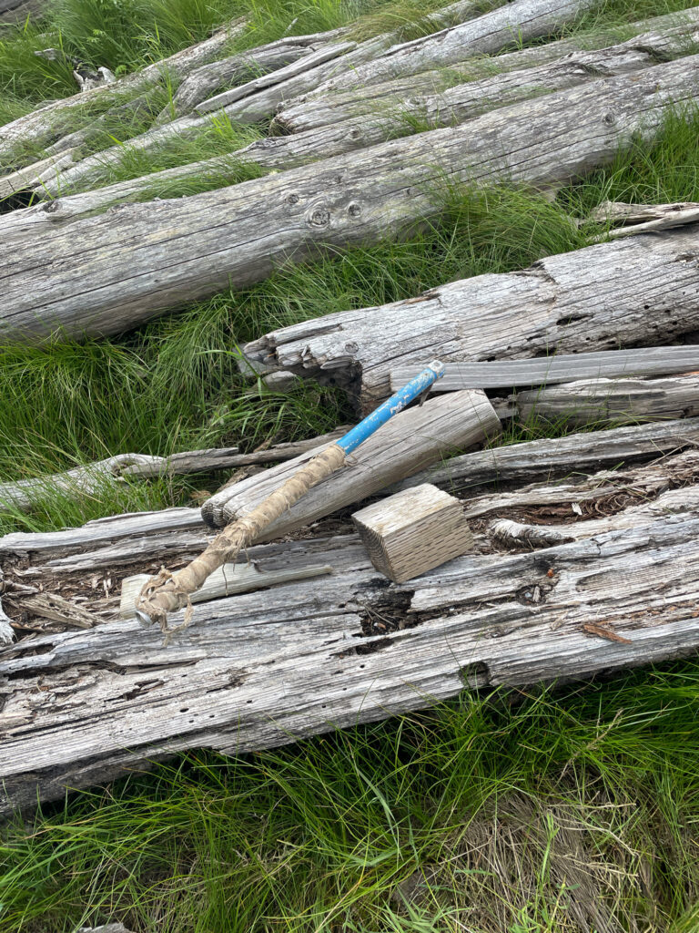 a log with a hammer and a nail in it (MyCoast AI)